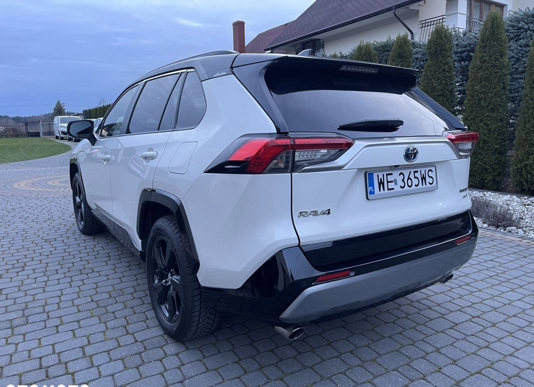 Toyota RAV4 cena 144900 przebieg: 84000, rok produkcji 2019 z Pajęczno małe 704
